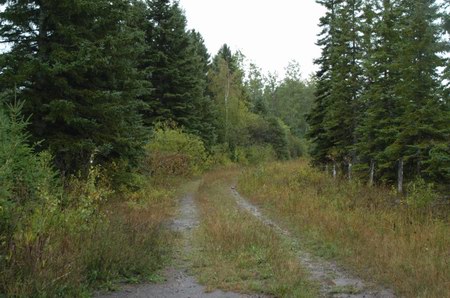 Hiawatha Drive-In Theatre - Exit Driveway